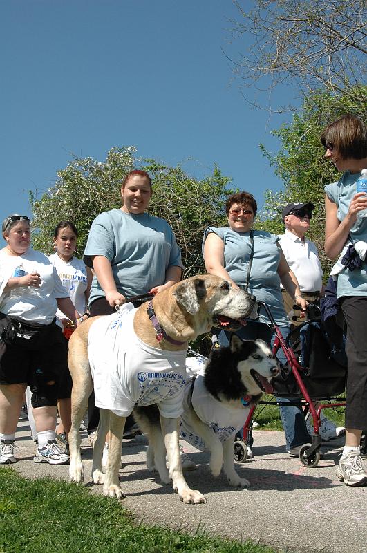 NAMIWalk07 (200) 